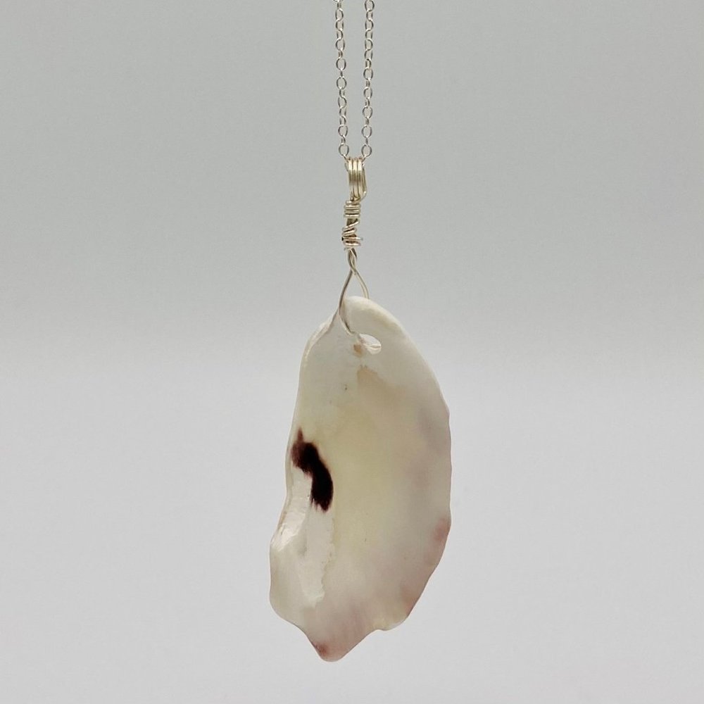 Shell Pendant on 24" Silver Chain Necklace; S24-26